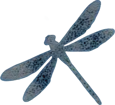 TONBŌRA